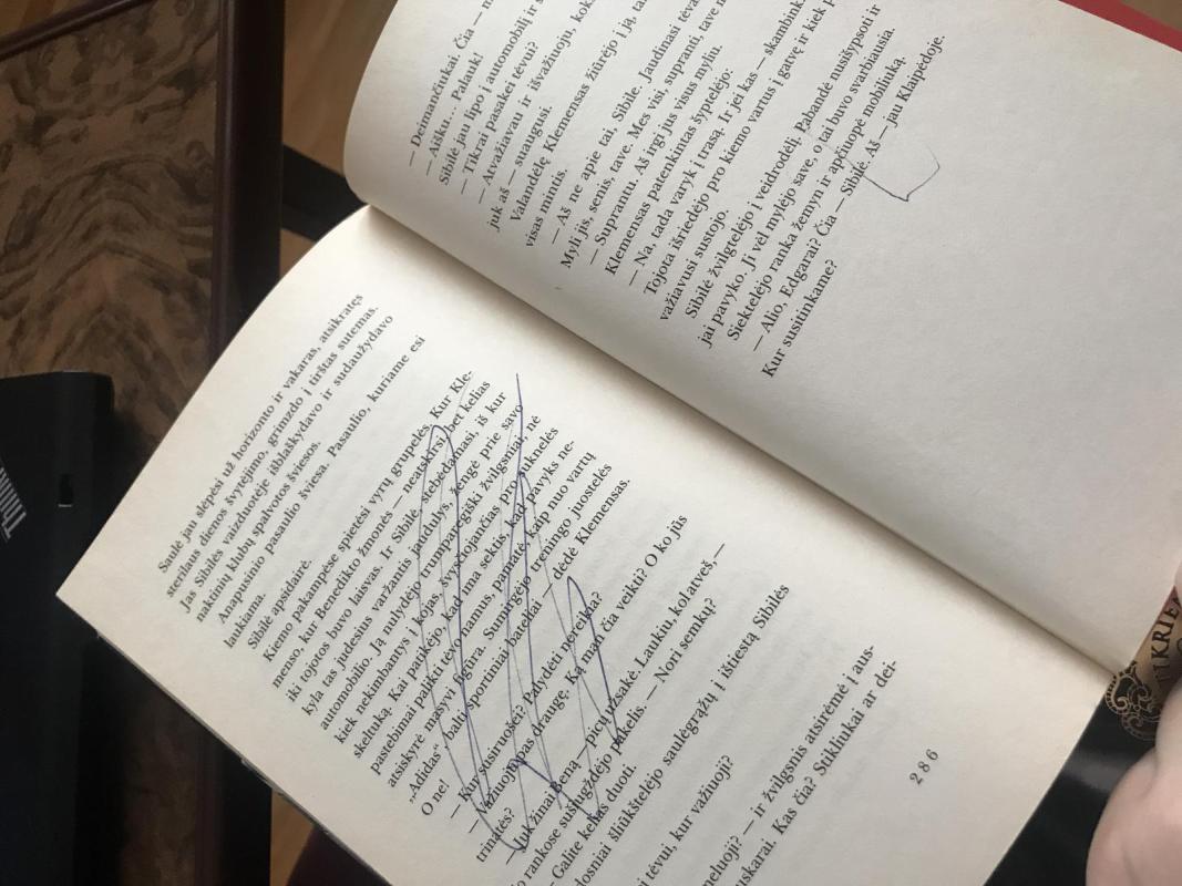 Pasimatymas su žudiku - Daiva Vaitkevičiūtė, knyga