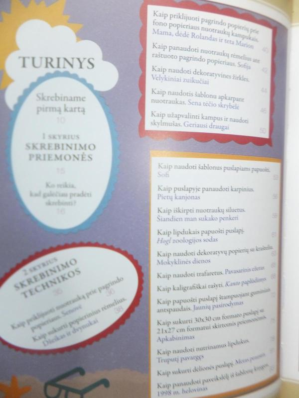 Viskas apie skrebinimą pradedantiesiems - Rebecca Carter, knyga 5