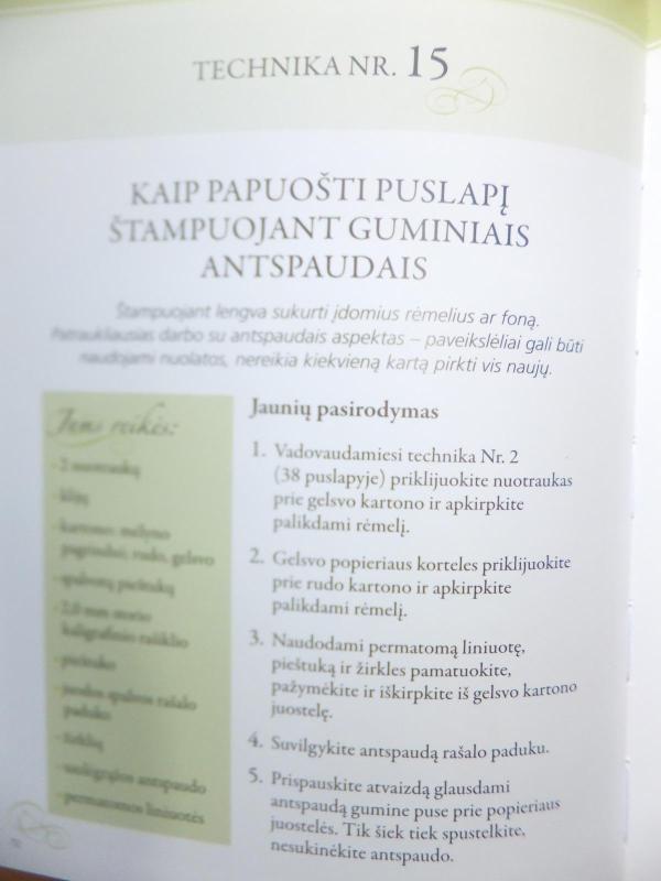 Viskas apie skrebinimą pradedantiesiems - Rebecca Carter, knyga 3