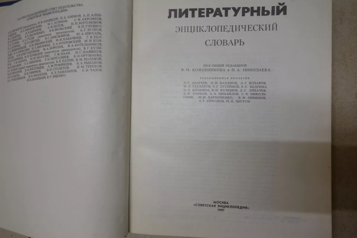 Literaturnij enciklopedicheskij slovariy - Autorių Kolektyvas, knyga