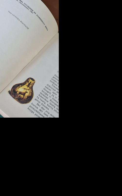 Paskutinieji iš akmens amžiaus - Levas Mincas, knyga