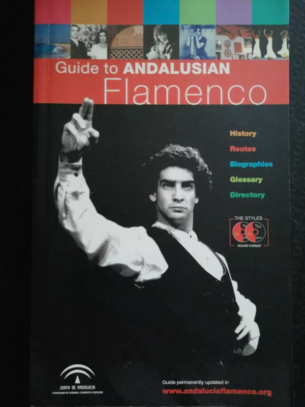Guide to Andalusian flamenco - Autorių Kolektyvas, knyga