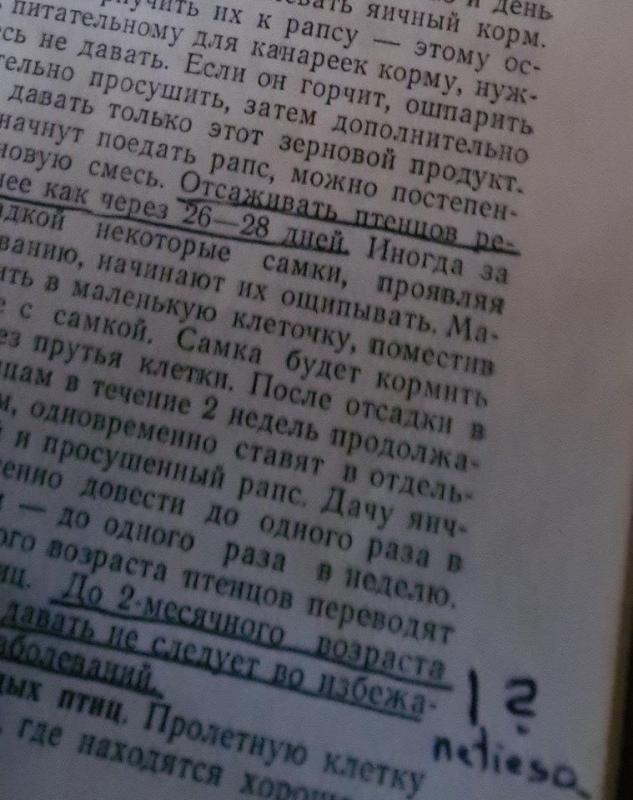 канарейка - Autorių Kolektyvas, knyga 3