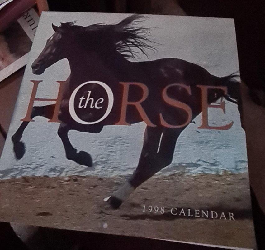 Kalendorius The Horse - Autorių Kolektyvas, knyga 2