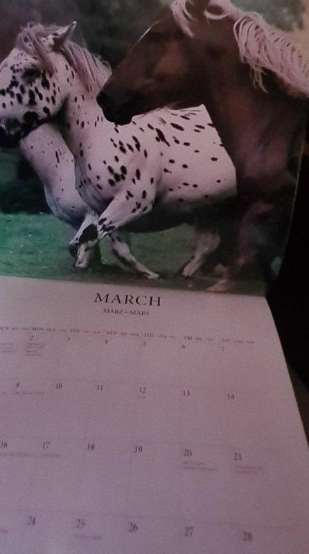 Kalendorius The Horse - Autorių Kolektyvas, knyga 4