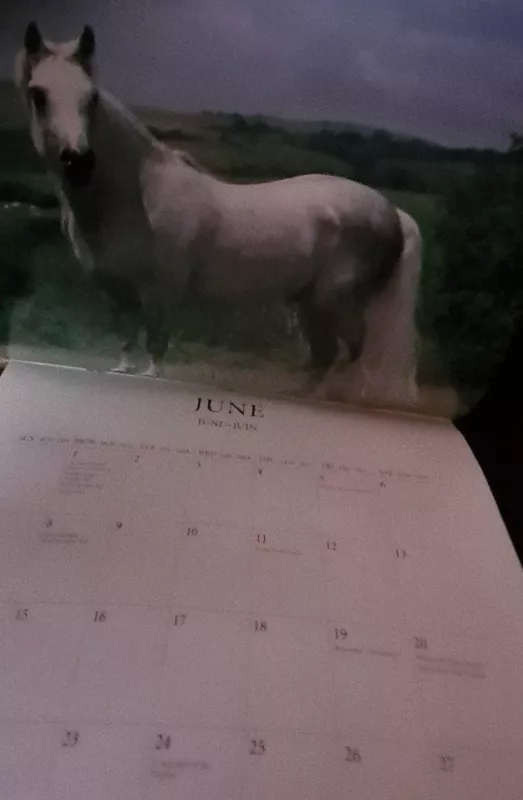 Kalendorius The Horse - Autorių Kolektyvas, knyga