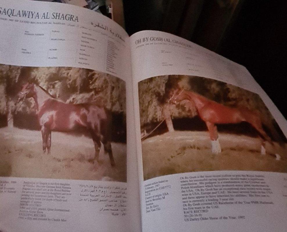 Arabiškų žirgų bukletas - Autorių Kolektyvas, knyga 4