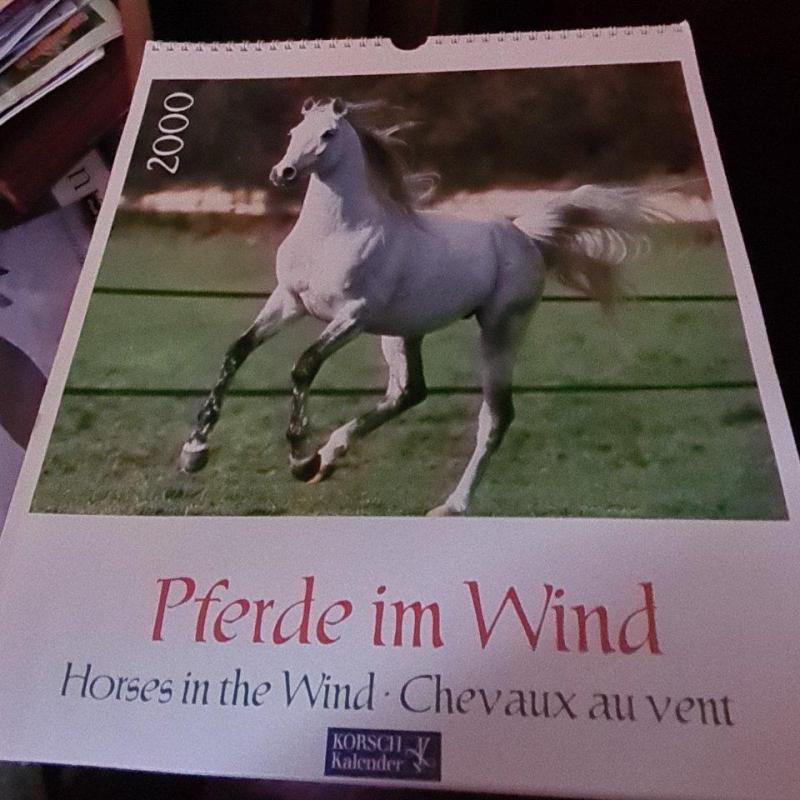 Kalendorius Pferde in the wind 2000 (Horse) - Autorių Kolektyvas, knyga 2
