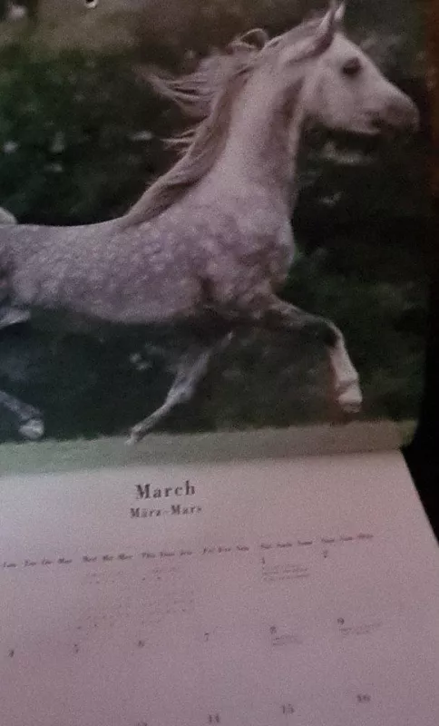 Kalendorius The Horse 1997 - Autorių Kolektyvas, knyga 3