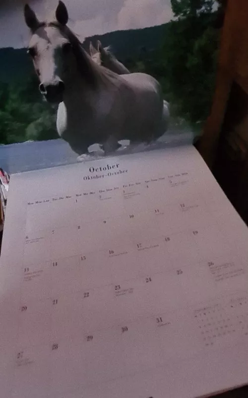Kalendorius The Horse 1997 - Autorių Kolektyvas, knyga 2