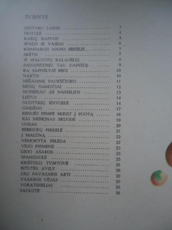 Ta dainelė-aš pati - Zita Gaižauskaitė, knyga 3