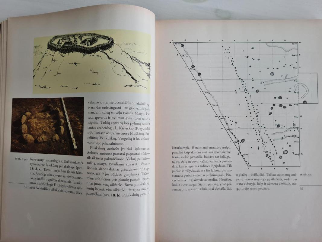 Lietuva iki Kristaus - Rimutė Rimantienė, knyga 3
