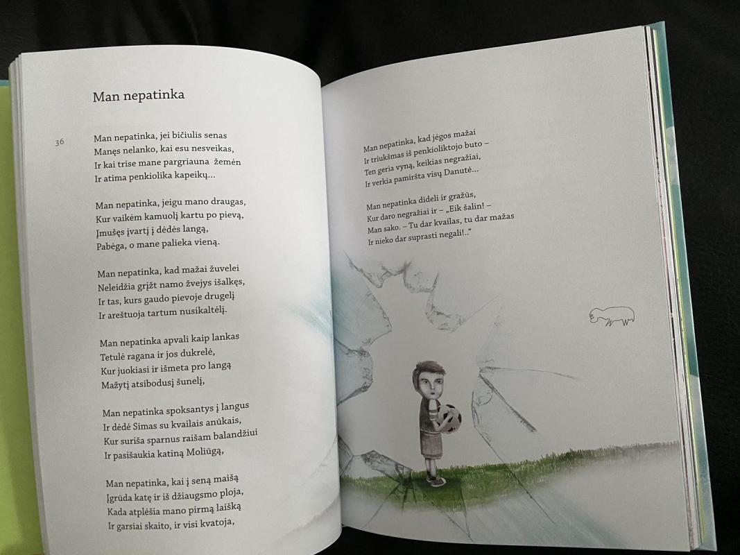 Bijau varlės - Juozas Erlickas, knyga 2