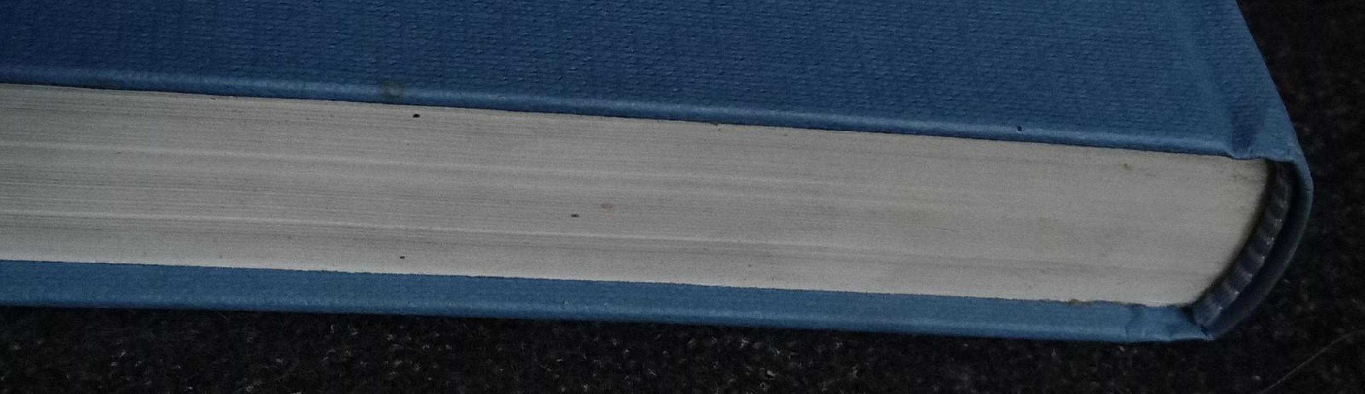 Kelias į Indiją - Edward Morgan Forster, knyga 5