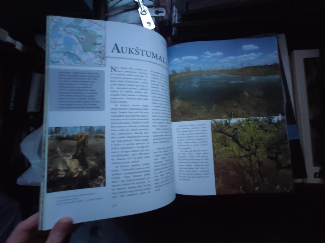 Didžioji knyga apie Lietuvą - Autorių Kolektyvas, knyga 4