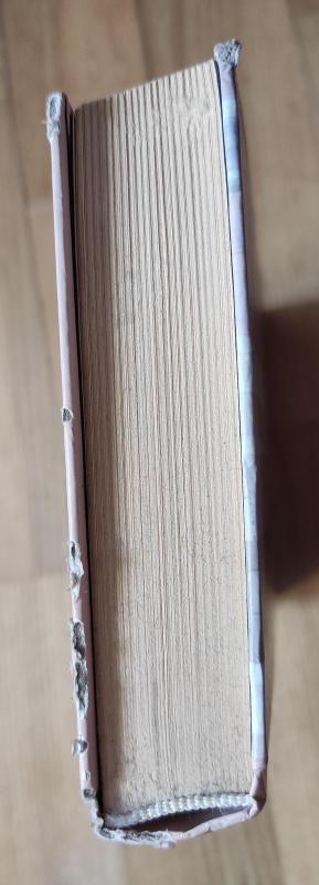 Sesučių Dašvud meilės paslaptys - Rosie Rushton, knyga