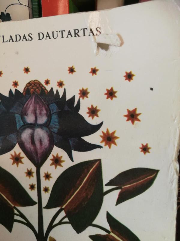 Pasaka nepasaka apie lydekutį Kikutį - Vladas Dautartas, knyga 2