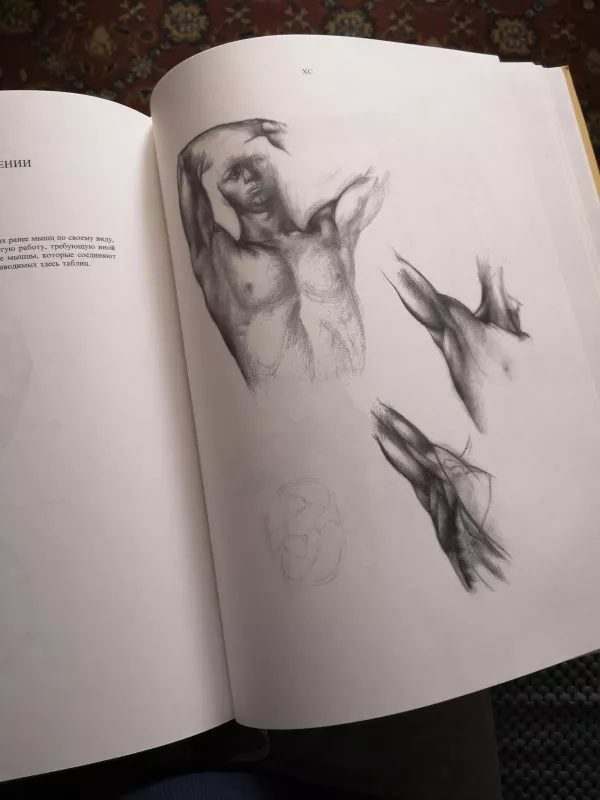 Anatomija dailininkams - Jeno Barcsay, knyga