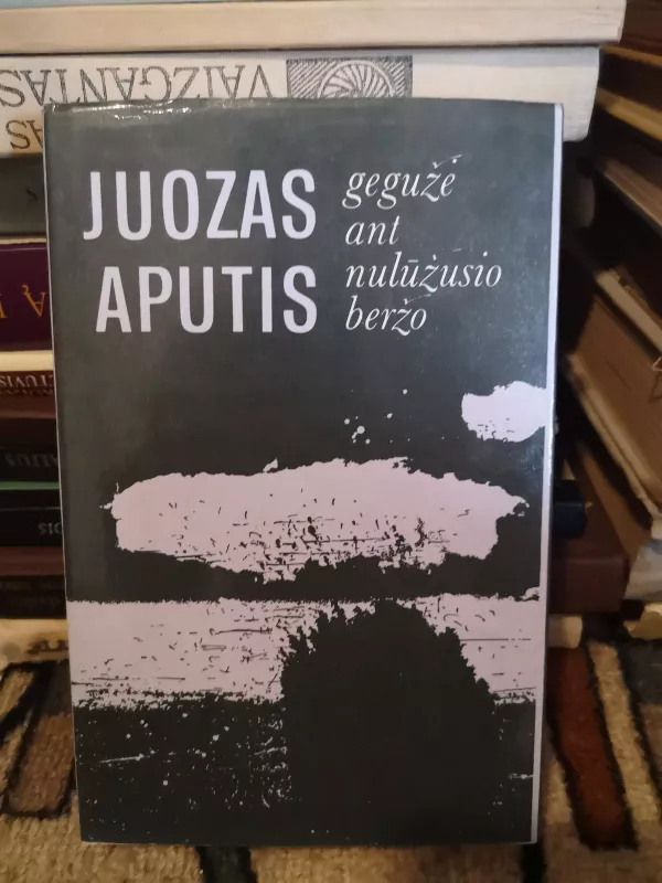 Gegužė ant nulūžusio beržo - Juozas Aputis, knyga 4