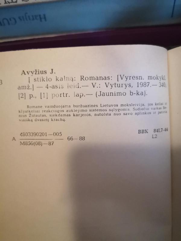 Į stiklo kalną - Jonas Avyžius, knyga 2