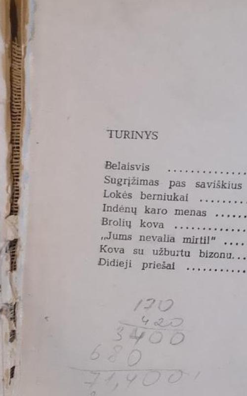 Anapus Misurio - Lizelotė Velskopf-Henrich, knyga 2