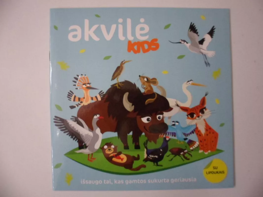 "akvilė Kids" užduočių knygelė (su lipdukais) - Autorių Kolektyvas, knyga 6