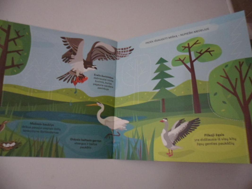 "akvilė Kids" užduočių knygelė (su lipdukais) - Autorių Kolektyvas, knyga 3