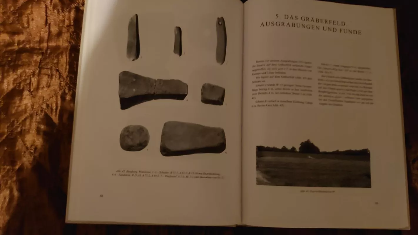 Apuolė. Ausgrabungen und funde 1928-1932 - Autorių Kolektyvas, knyga 4