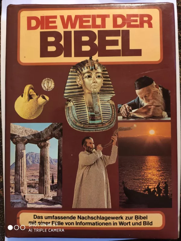 Die Welt der Bibel - Autorių Kolektyvas, knyga