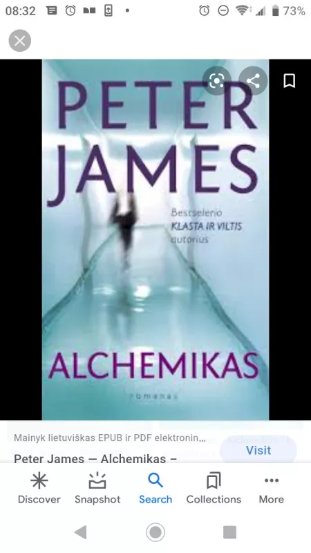 Alchemikas - Peter James, knyga