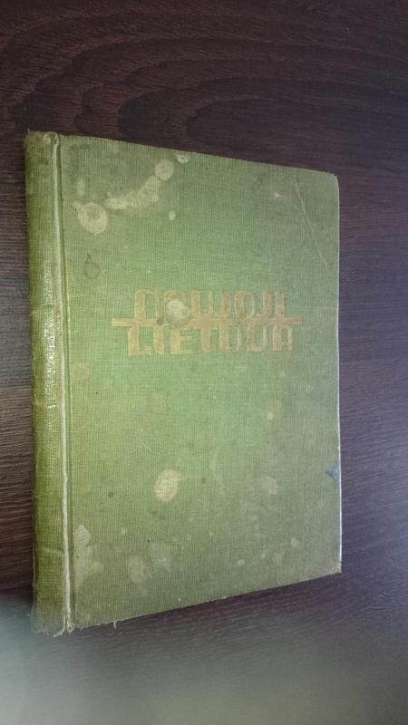 Naujoji Lietuva - Kazys Binkis, knyga 4