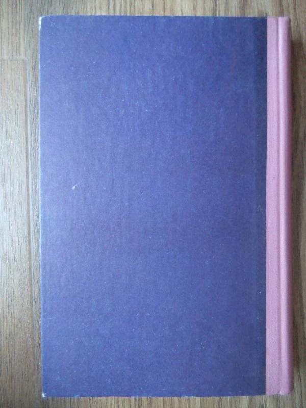 Proto blaivumas - Vasco Pratolinis, knyga 2