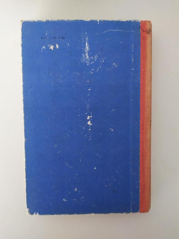 Žiema kalnuose - Džonas Veinas, knyga 2