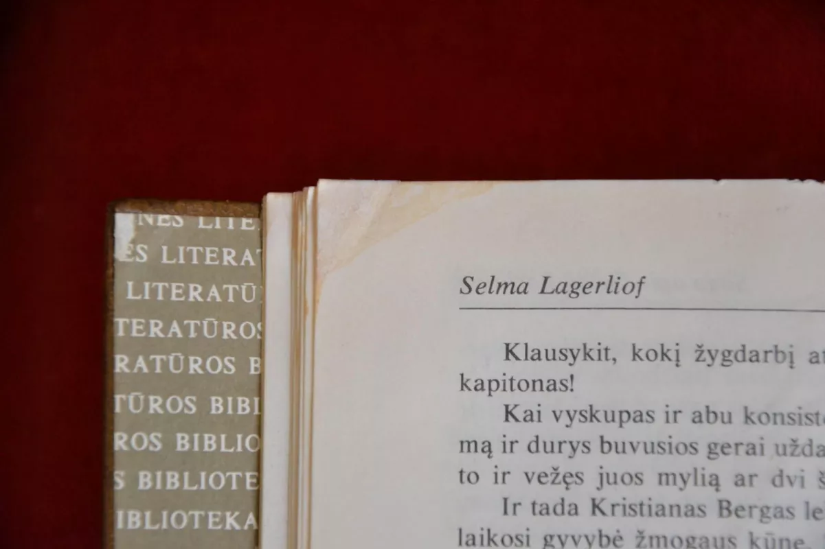 Selma Lagerliof "Saga apie Gestą Berlingą",  Peras Lagerkvistas "Nykštukas Sibilė" - Autorių Kolektyvas, knyga 5