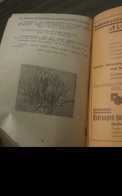 M. Sielskio „Flora“ sėklų katalogas - M. Sielskis, knyga 3