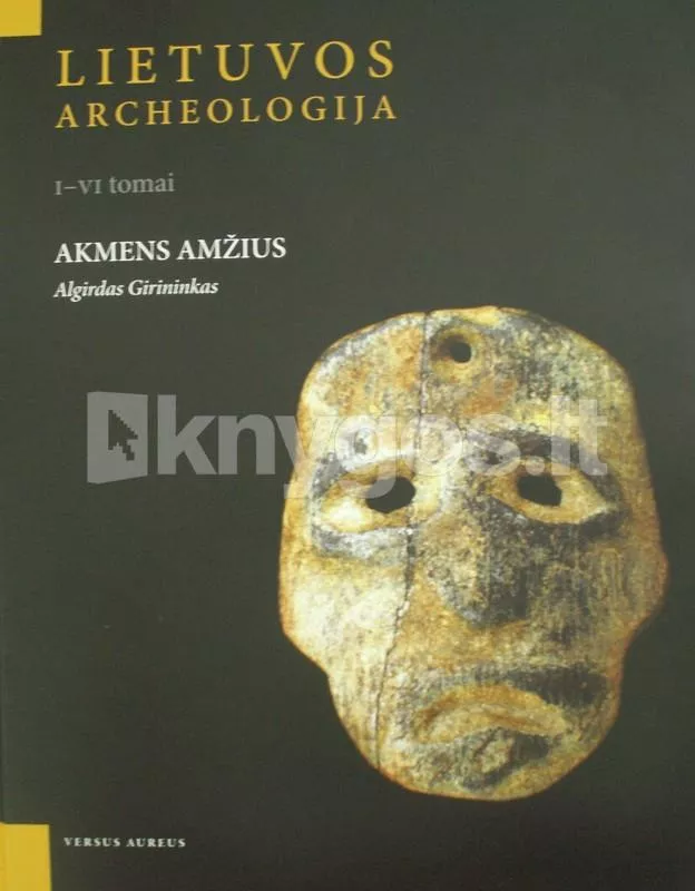 Lietuvos archeologija I: akmens amžius - Algirdas Girininkas, knyga