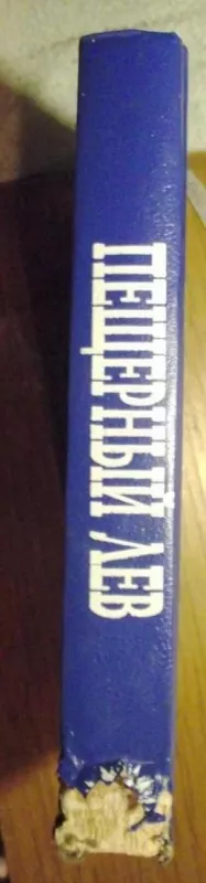 Пещерный лев - коллектив Авторский, knyga 3