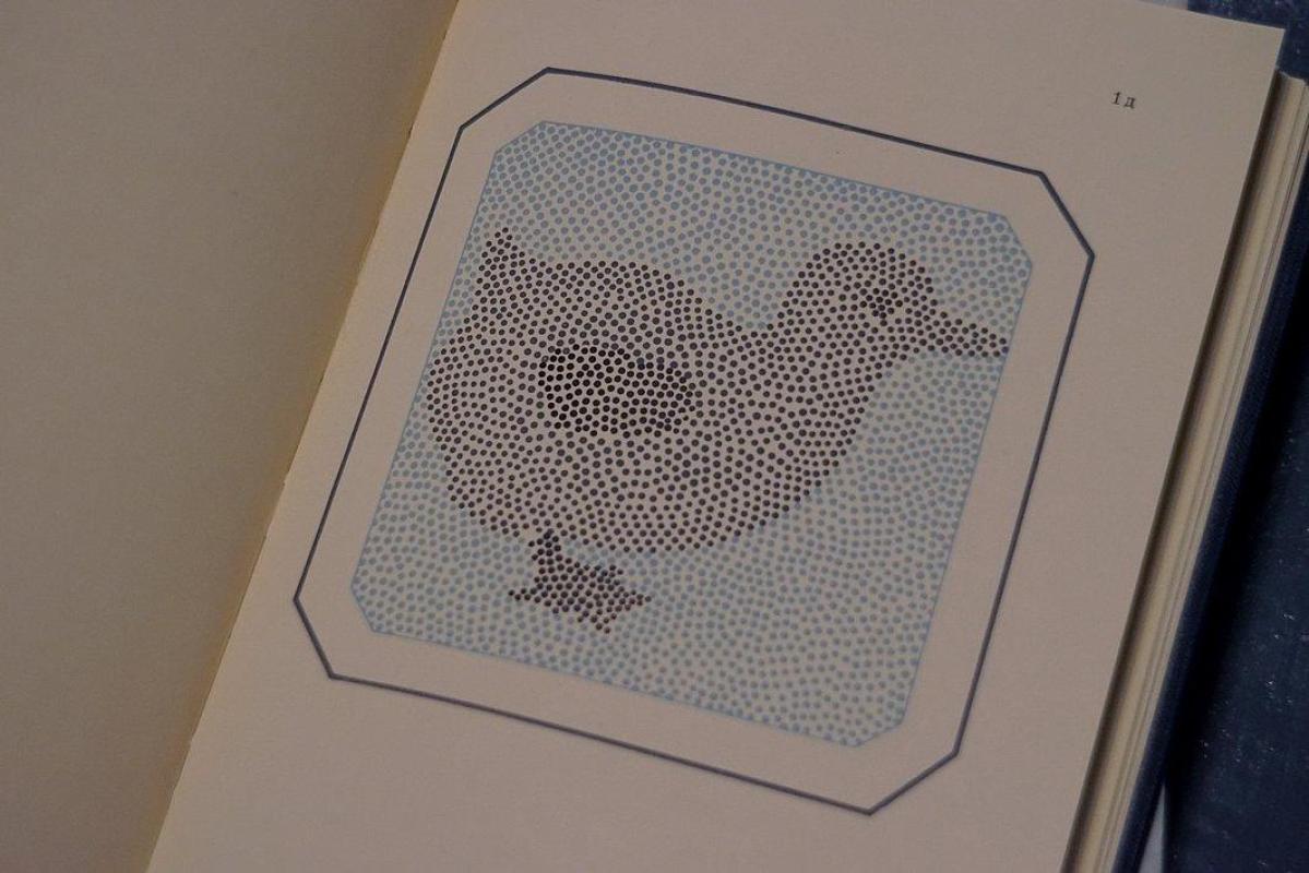 олихроматические таблицы для исследования цветоощущения - E. B. Rabkin, knyga 2