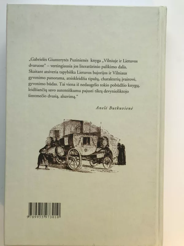 Vilniuje ir Lietuvos dvaruose - Gabrielė Giunterytė-Puzinienė, knyga