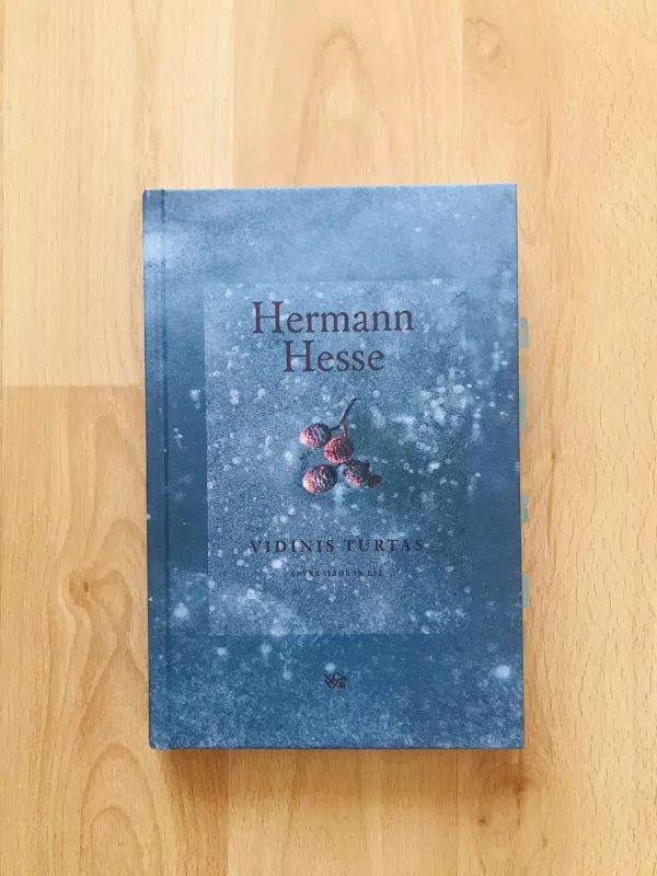 Vidinis turtas - Hermann Hesse, knyga