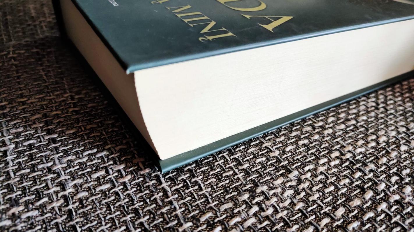 Malda už Oveną Minį - John Irving, knyga 2