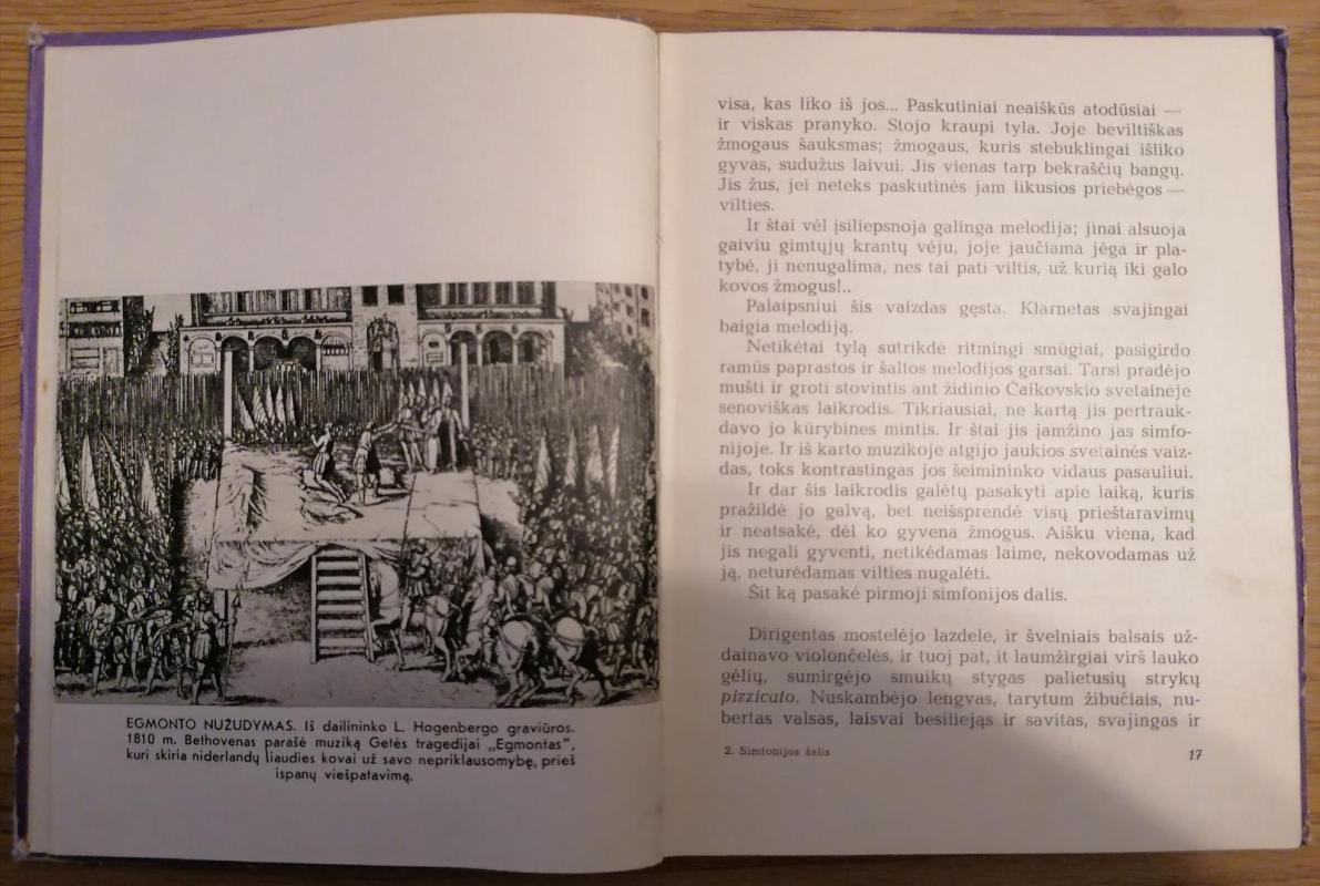 Simfonijos šalis - Genadijus Požidajevas, knyga 6