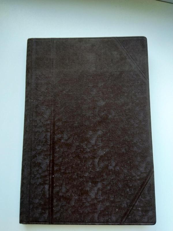 vieno miesto istorija - M. Saltykovas-Ščedrinas, knyga 3