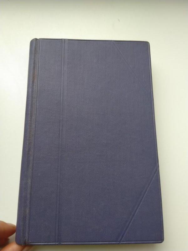 Don Žuanas septynios didžiosios nuodemės - Mirko Jelusich, knyga 3