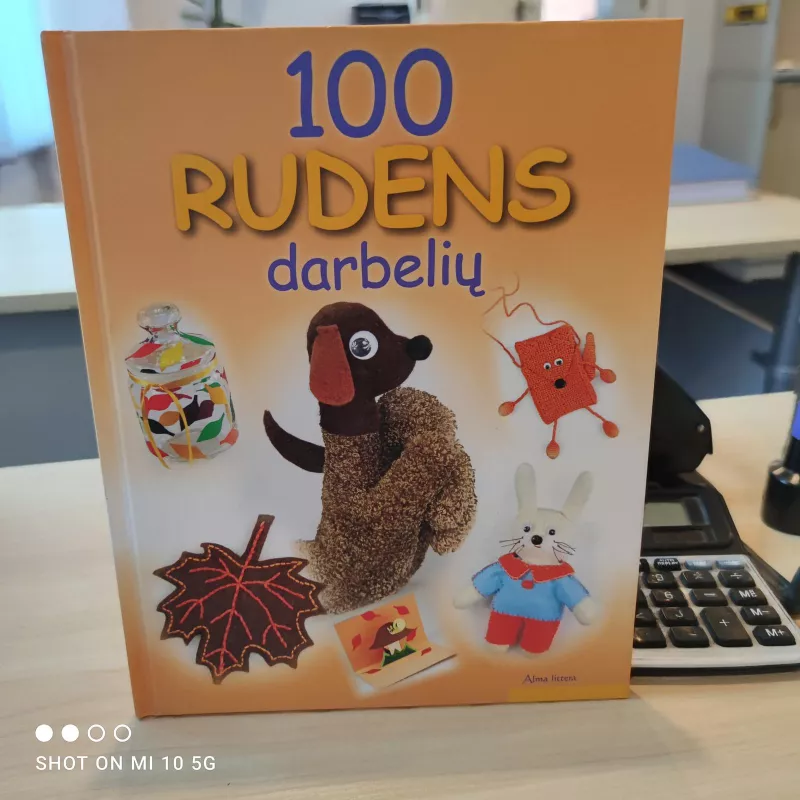 100 rudens darbelių - Sanita Nikitenko, knyga 5