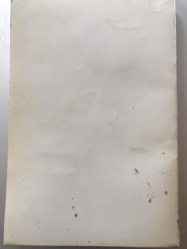 Europietė - Stasys Būdavas, knyga