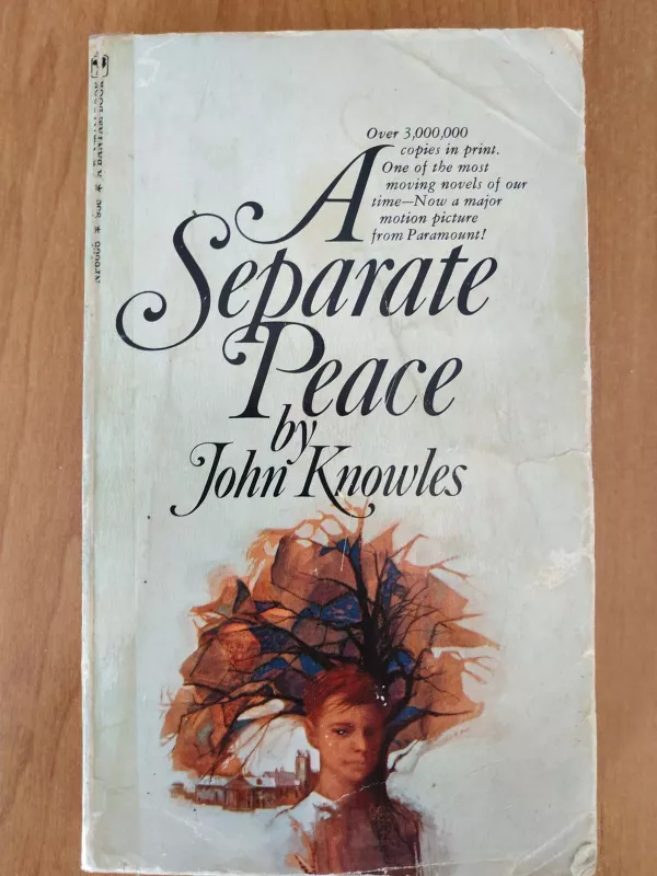A Separate Peace - John Knowles, knyga