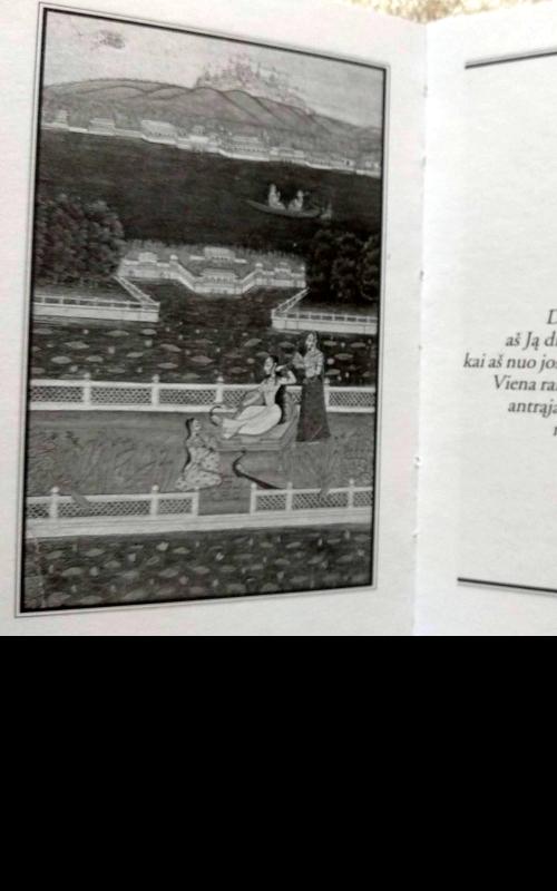 Penkiasdešimt posmų apie slaptąjį meilės džiaugsmą - Panditas Bilhanas, knyga 2