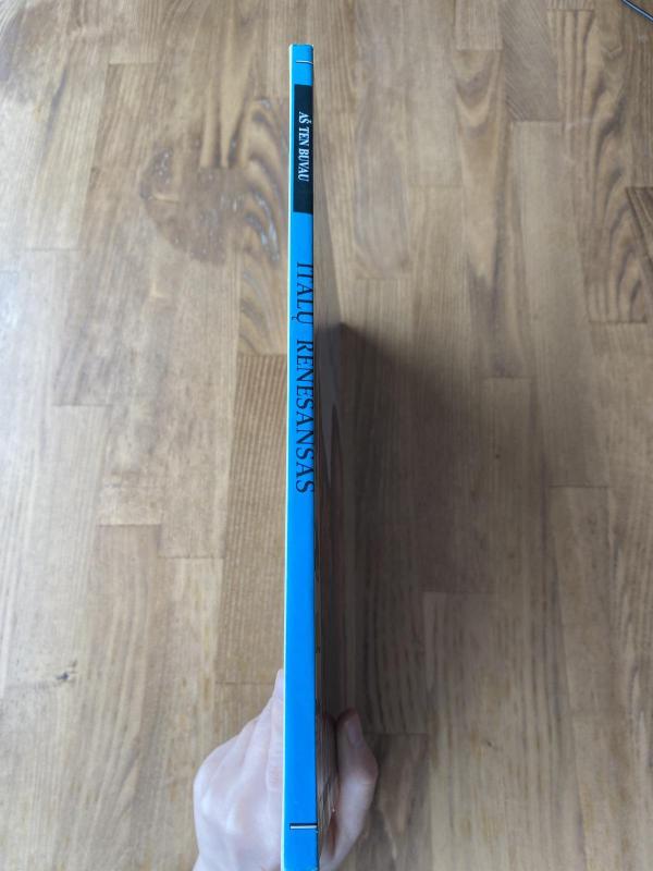 Italų renesansas - Džonas D. Kleras, knyga 2