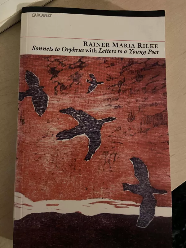 Sonnets to Orpheus and Letters to a Young Poet - Rainer Maria Rilke, knyga